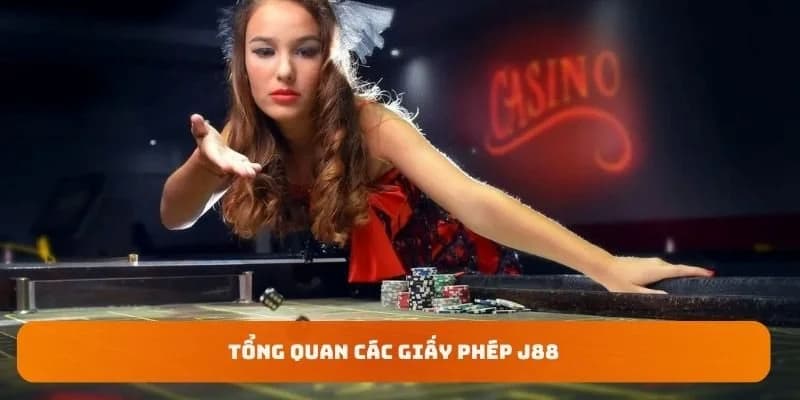 Giấy phép hoạt động Cách người chơi kiểm tra giấy phép hoạt động