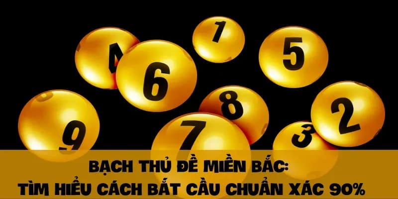 Cách bắt cầu bạch thủ Các cách bắt cầu bạch thủ phổ biến