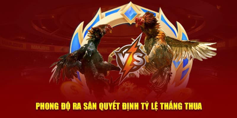 Đá gà J88 Các hình thức cược phổ biến trong đá gà J88