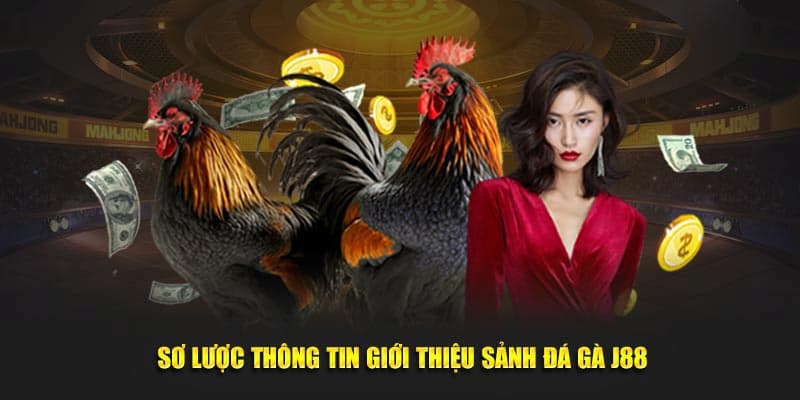 Đá gà J88 Tổng quan về đá gà J88